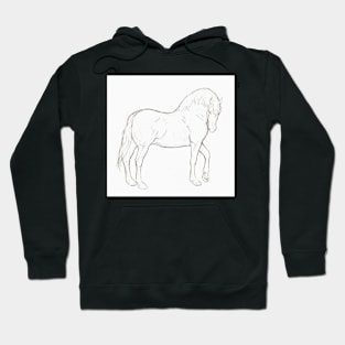 Welsh Stallion Hoodie